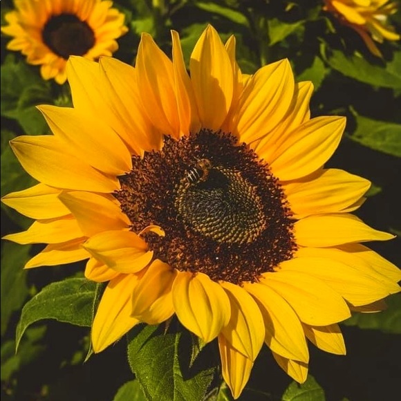 Meet your Posher, Daniela - Picture 1 of 1